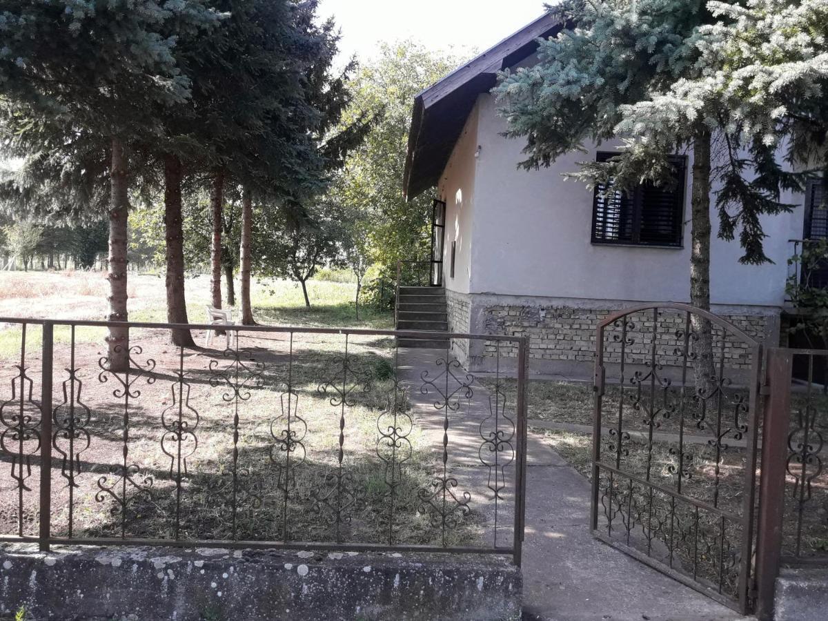 Ferienhaus Backi Raj